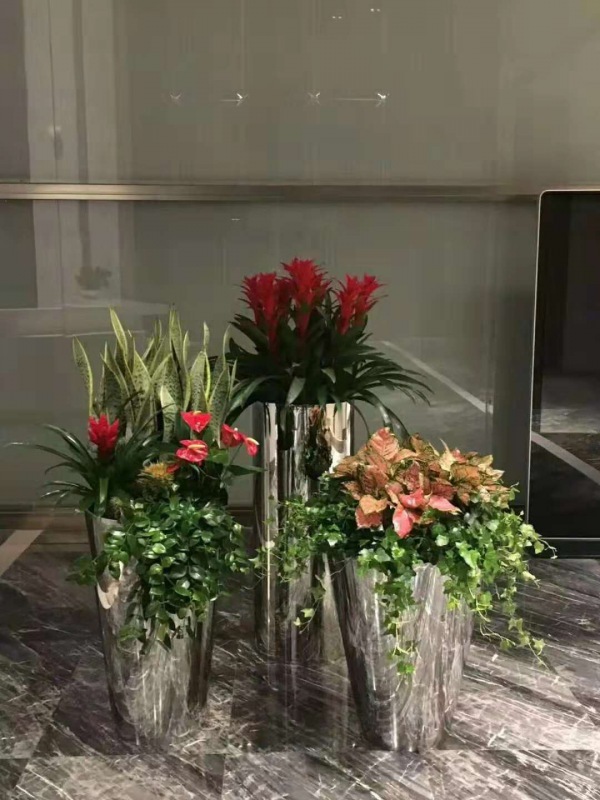 艺术组合
