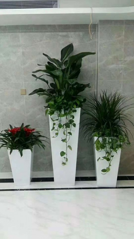 艺术组合