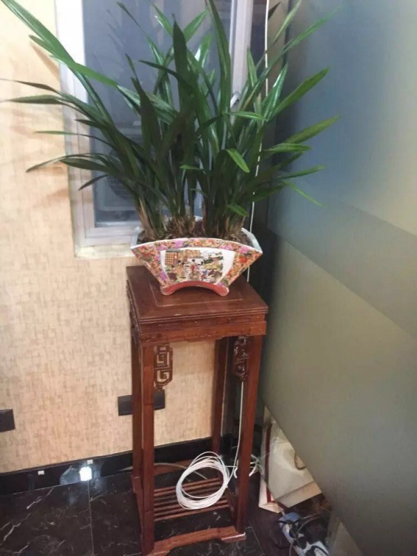 木架植物