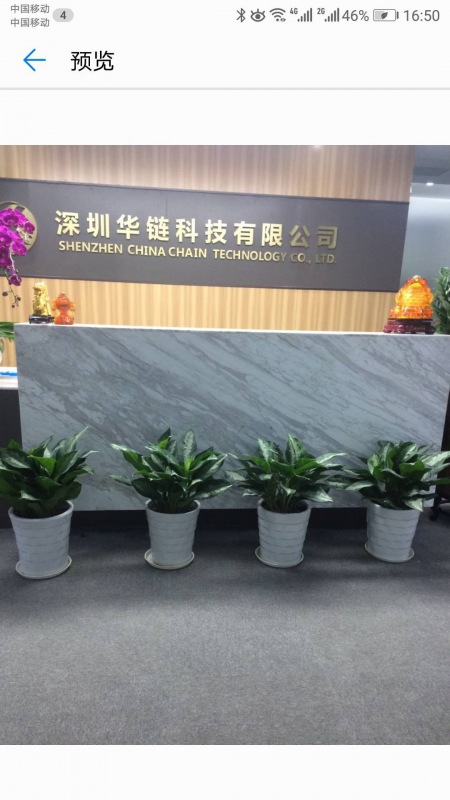 中型室内植物
